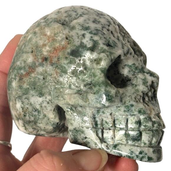 Natural Tree Agate Crystal Skull Head Carving Druzy Healing Stone Mineral - Picture 2 of 8
